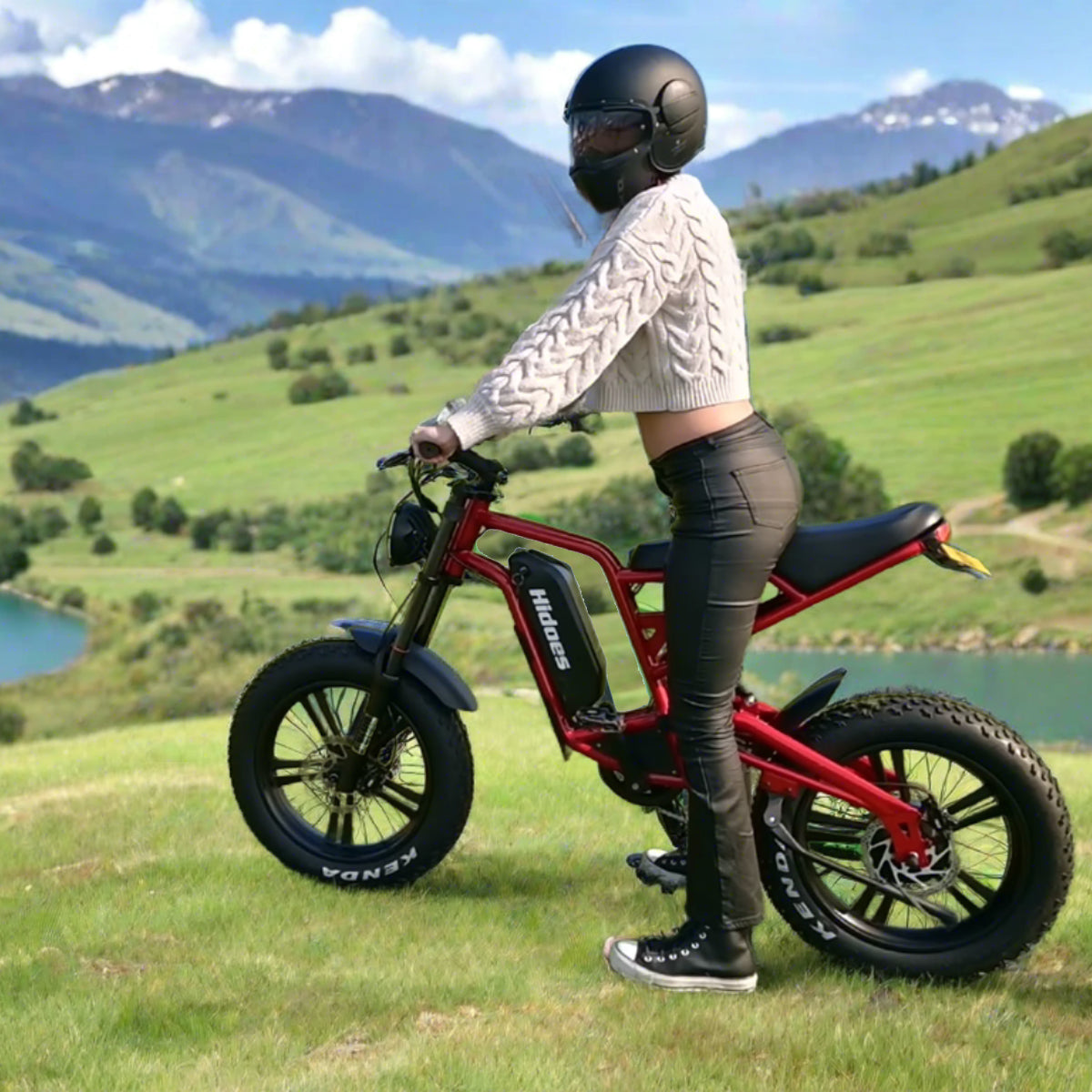 Hidoes® B6 Fat Tire Electric Bike, 1200W Electric Fat Bike, 48V 15Ah Battery, Electric Bike with Banana Seat - Red Color