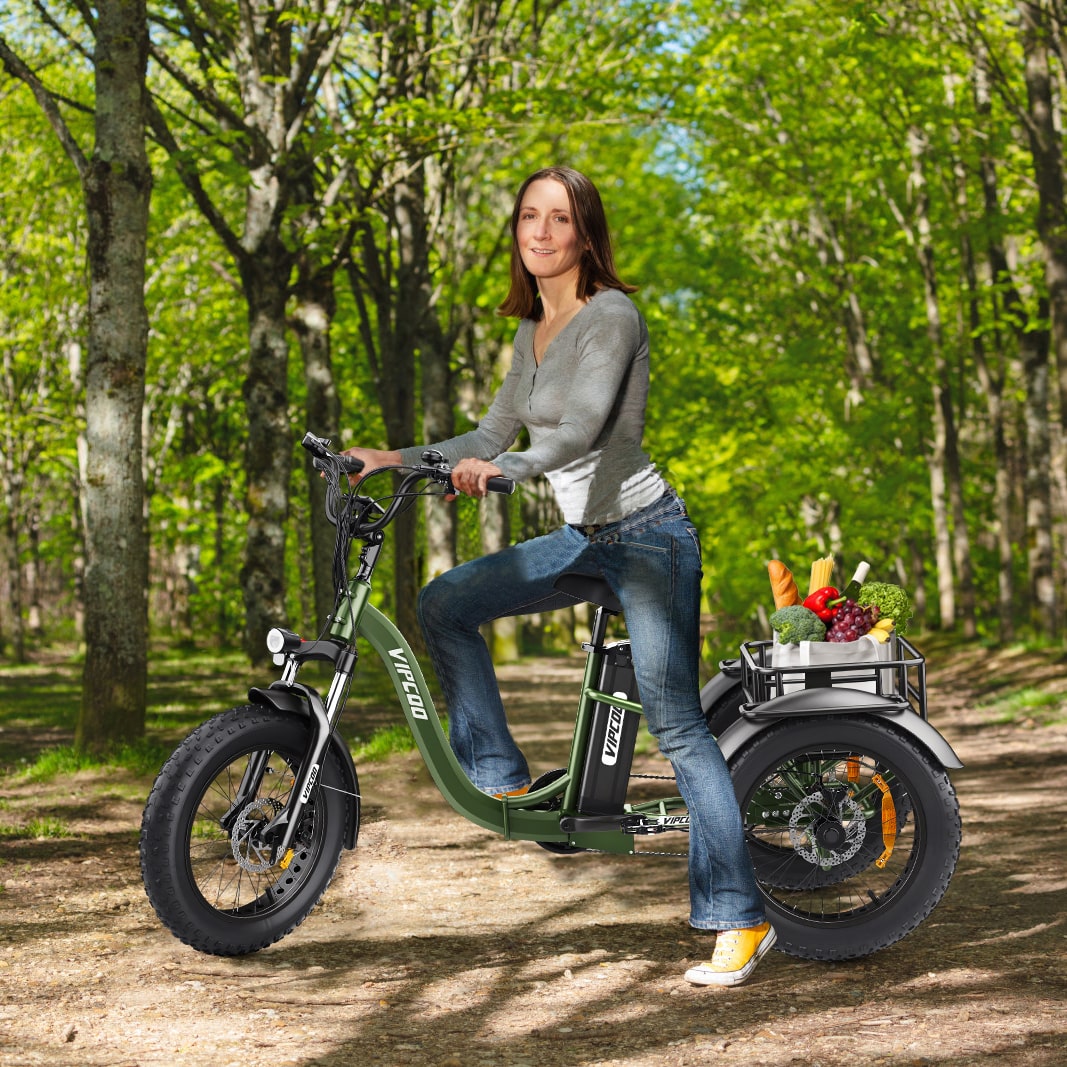 Hidoes ET1 Fat Tire Electric Tricycle: Power, Comfort, and Convenience for European Riders