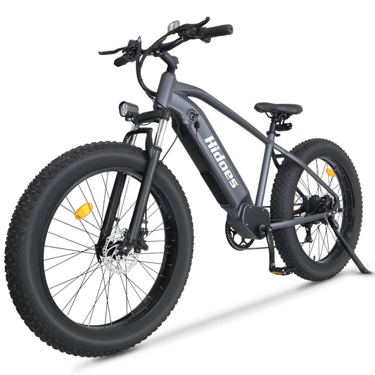 Hidoes B5 All Terrain Electric Bike online, best fat tire electric cruiser bike online