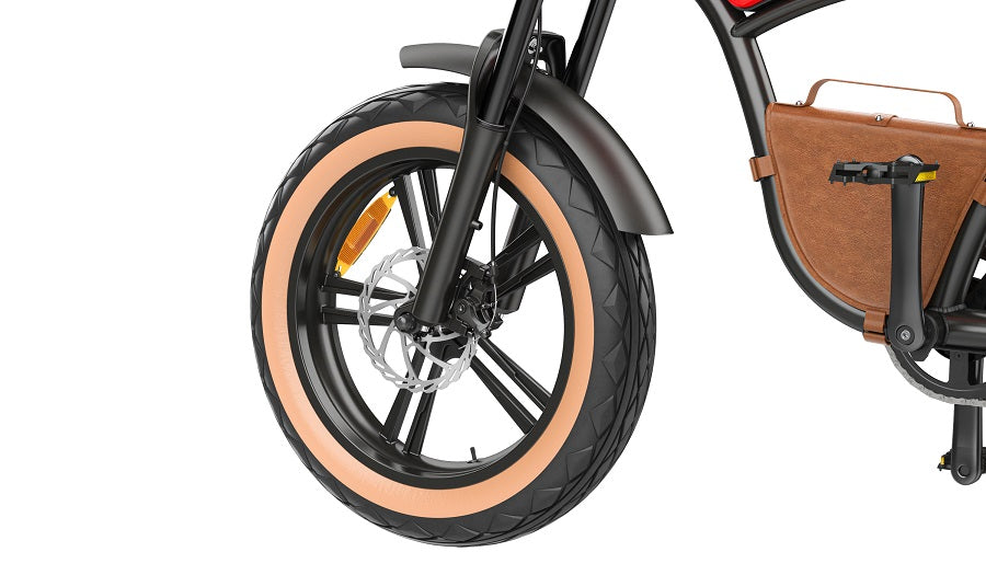 Hidoes B10 electric bike with 20x4 inch fat tire