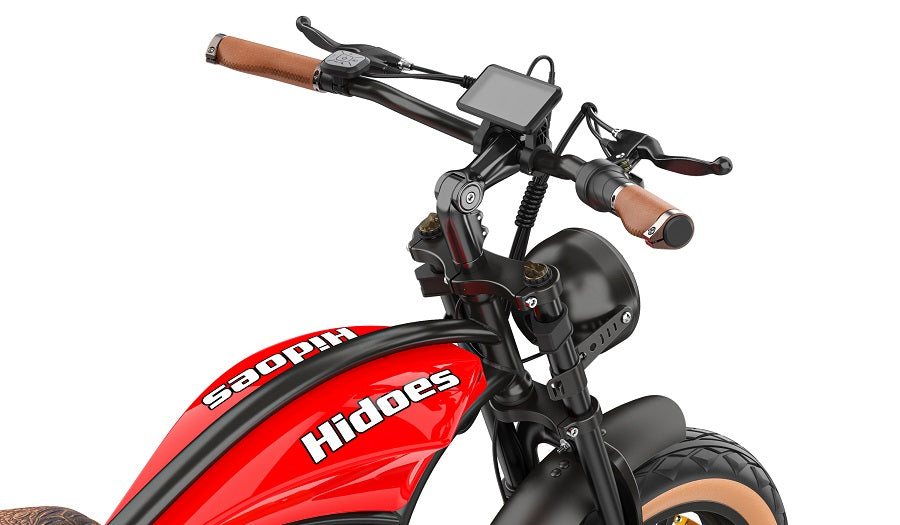 Hidoes B10 electric bike with large size display