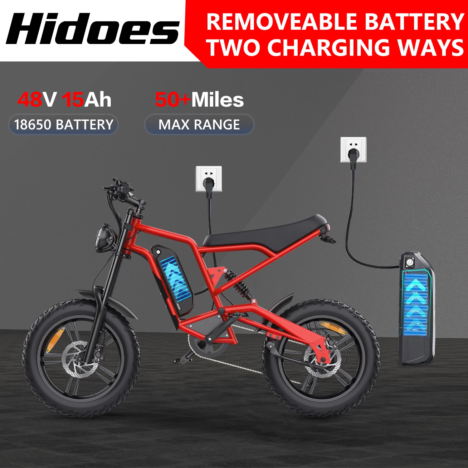 Hidoes B6 fat tire ebike with 48V 15Ah battery, removable battery design, 2 charging ways.