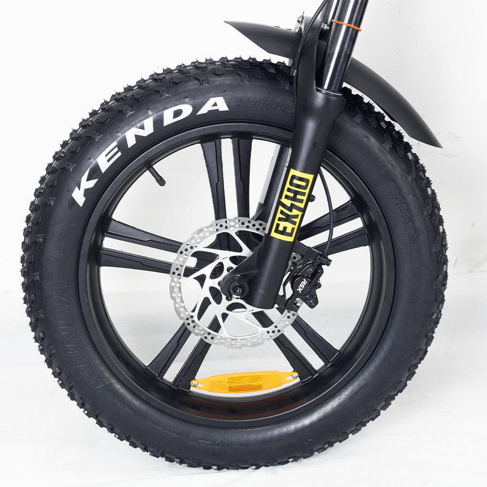Hidoes B6 electric bike fat tire